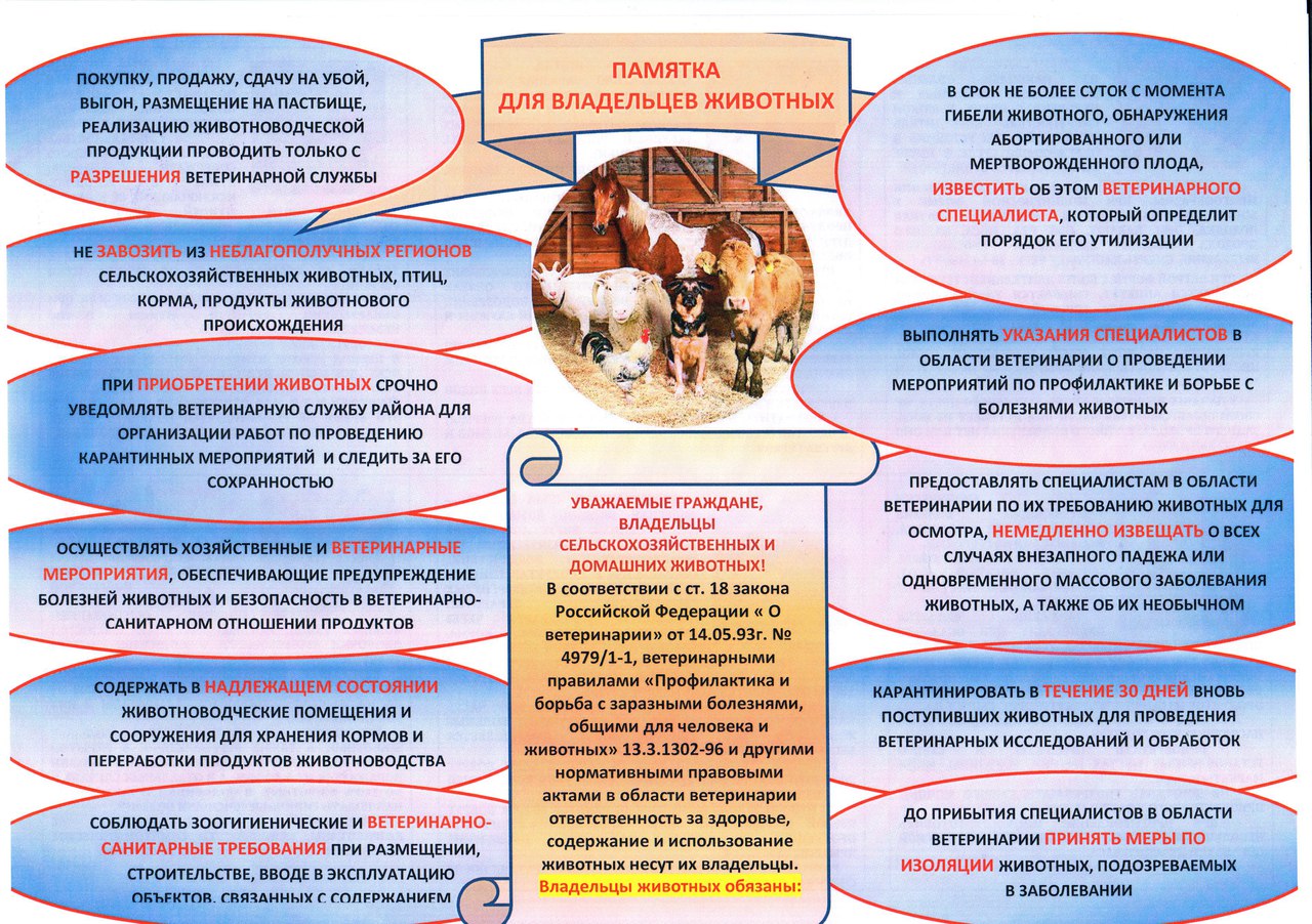 Памятка о мерах профилактики заразных, в том числе особо опасных и общих для человека и животных болезней.